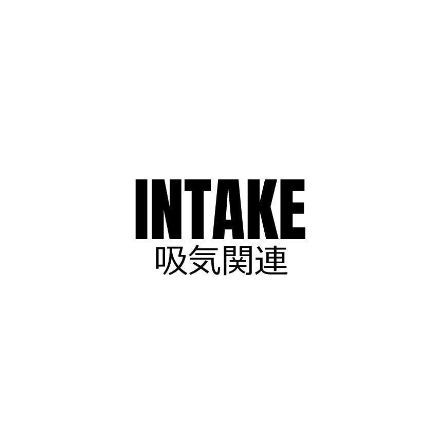 INTAKE