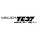 RAYS  TE37 SAGA S-plus A.S.T. 18Inch 9.5J +22 5H 114.3 Crystal Buff Face-4