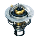 NISMO Low-Temp Thermostat RB