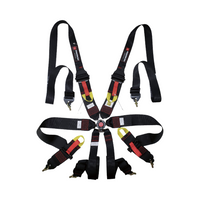 HPI  6-point racing harness compatible with FHR system
