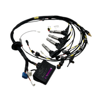 LINK ECU. AE86 late model 4 valve 4 throttle C5 Monsoon SET