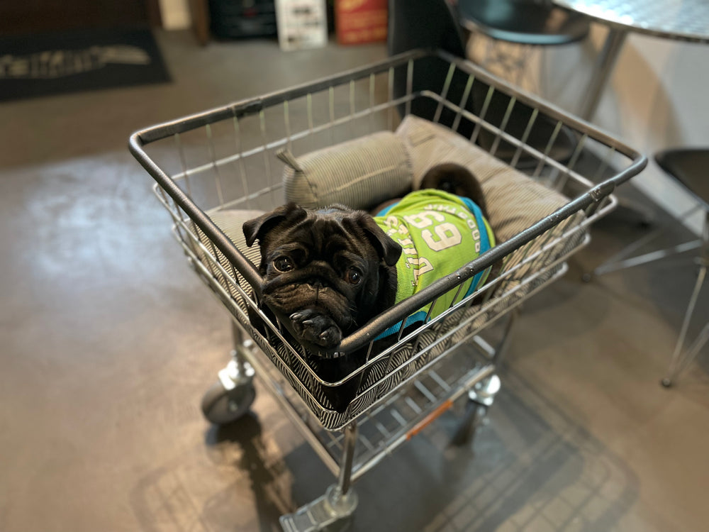 STICKER / BST-25D【BIZ】